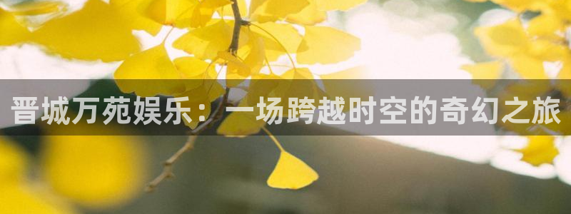 辉达平台注册：晋城万苑娱乐：一场跨越时空的奇幻之旅